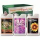 Advanced Nutrients Szettek - Átfogó Tápanyag Megoldások Advanced Nutrients Szettek - Átfogó Tápanyag Megoldások