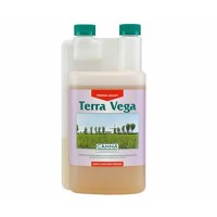 Canna Terra Vega