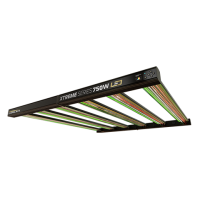 DimLux - DimLux Xtreme Series LED 750W  NIR