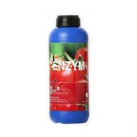 Geni Enzym  