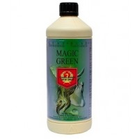 House & Garden Magic Green