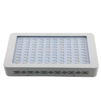 LED Grow Light 300W