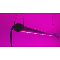 100 W GH Interlight LED (Rot + Blau)