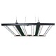 Lumen King Light - Nagy Fényerő és Hosszú Élettartam Lumen King Light - Nagy Fényerő és Hosszú Élettartam