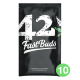 Fast Buds Seeds - Gorilla Glue | Autoflowering mag | 10 darab