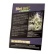 Sweet Seeds - Black Jack F1 Fast Version | Feminizált mag | 3 darab