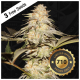 T.H. Seeds - BubbleBananaGum 710 | Feminizált mag | 7 darab