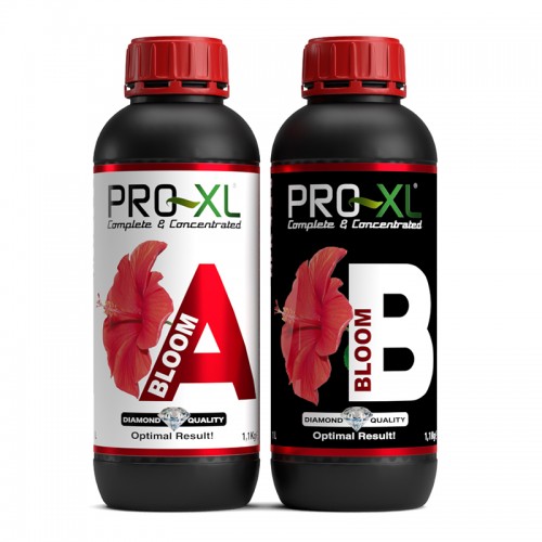 PRO-XL BLOOM A&B PRO-XL BLOOM A&B