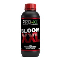 Pro XL BLOOM XXL Pro XL BLOOM XXL