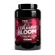 PRO-XL EXPLOSIVE BLOOM PRO-XL EXPLOSIVE BLOOM