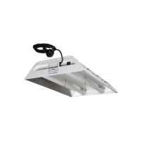 STARLIGHT neon Reflector 2x55W